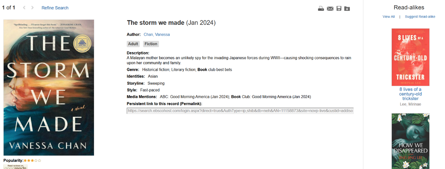 screenshot of NoveList "The Storm We Made" book information