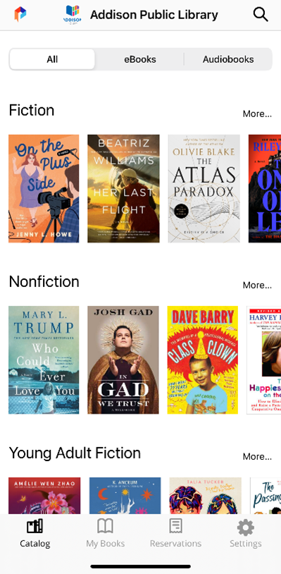a view of the palace project app - fiction, nonfiction, and young adult fiction book covers arranged in rows