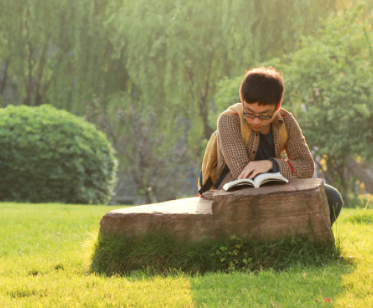 person sitting next to a rock in a large green space or park reading a book