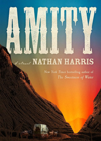 Cover of Amity