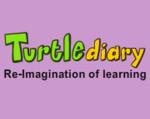 Turtle Diary logo