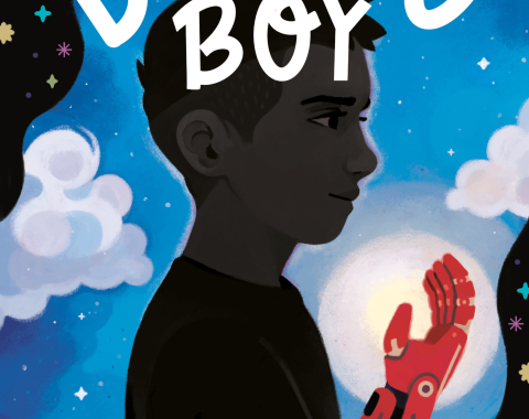 The Bionic Boy book cover, shadow of a boy with a red arm and hand with the sky behind them
